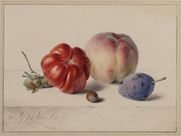 Z 003
          <br/>
          Stilleven met vruchten en noten
          <br/>
          <em>Os, Georgius Jacobus Johannes van (1782-1861)</em>